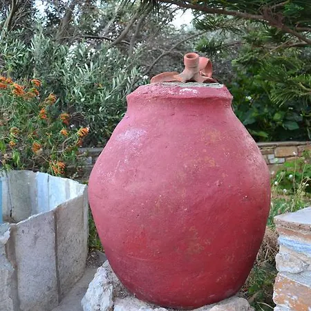 Apartment Stelios Zalonis Tinos